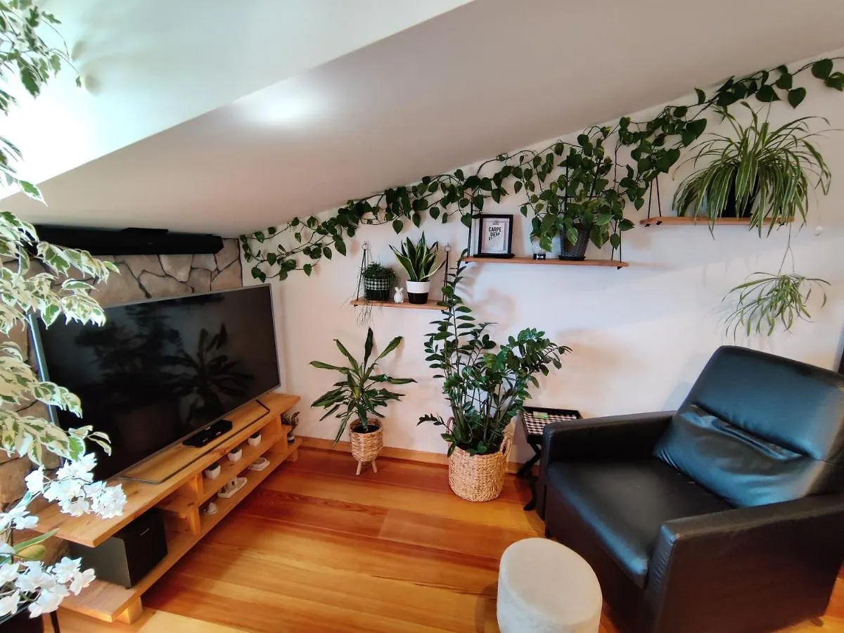Apartment Smile Split